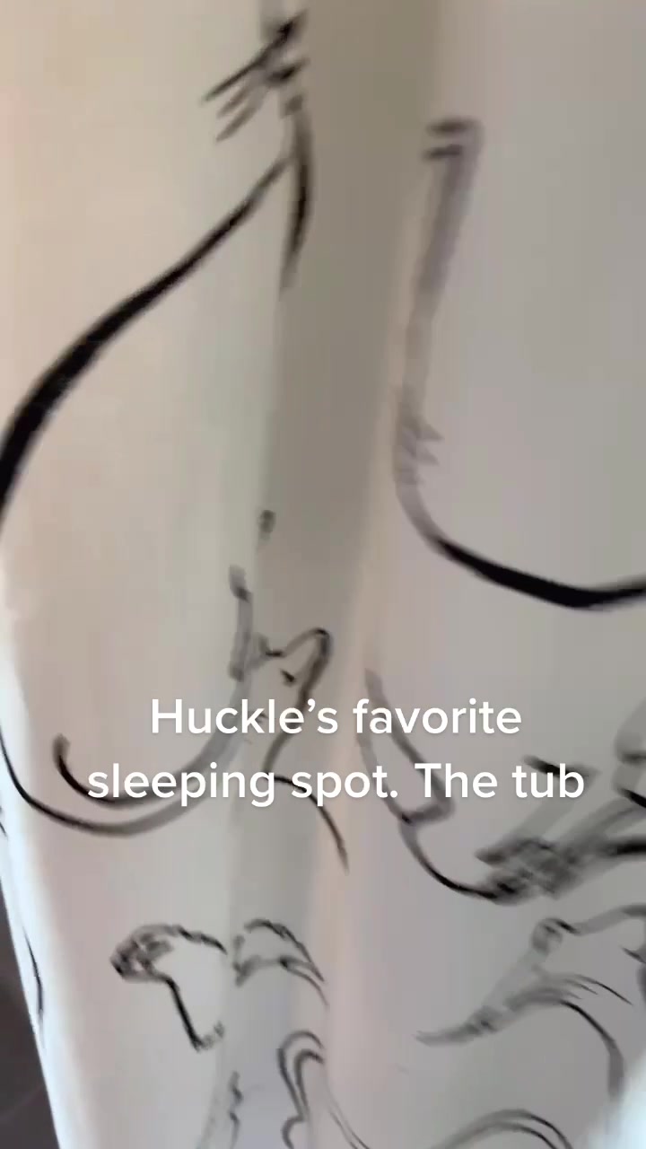 @Huckle 🐱