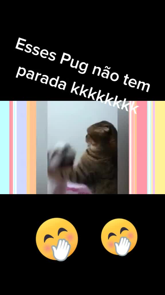 @Eduardo Lilian