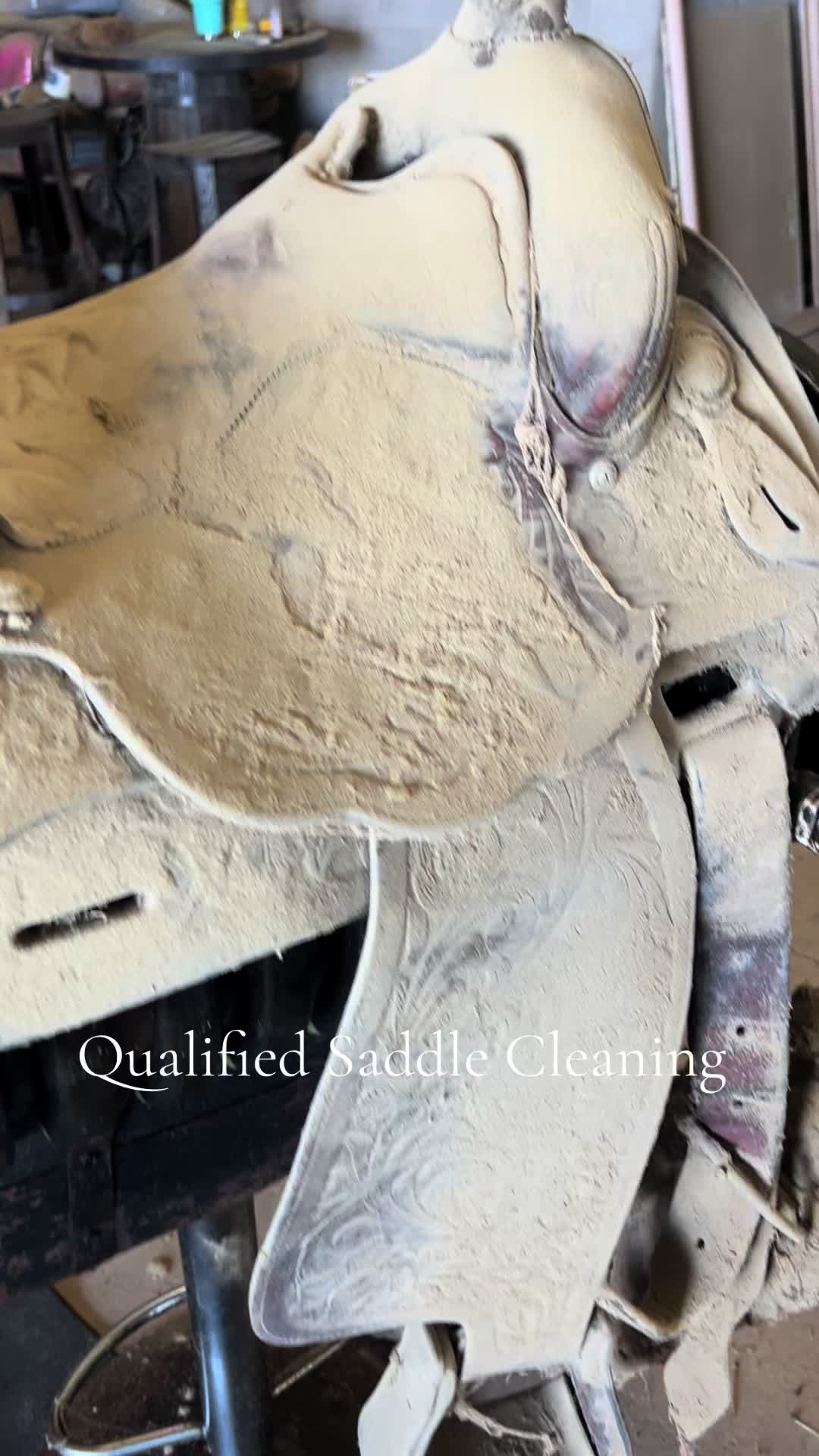 @Qualified Saddle Cleaning