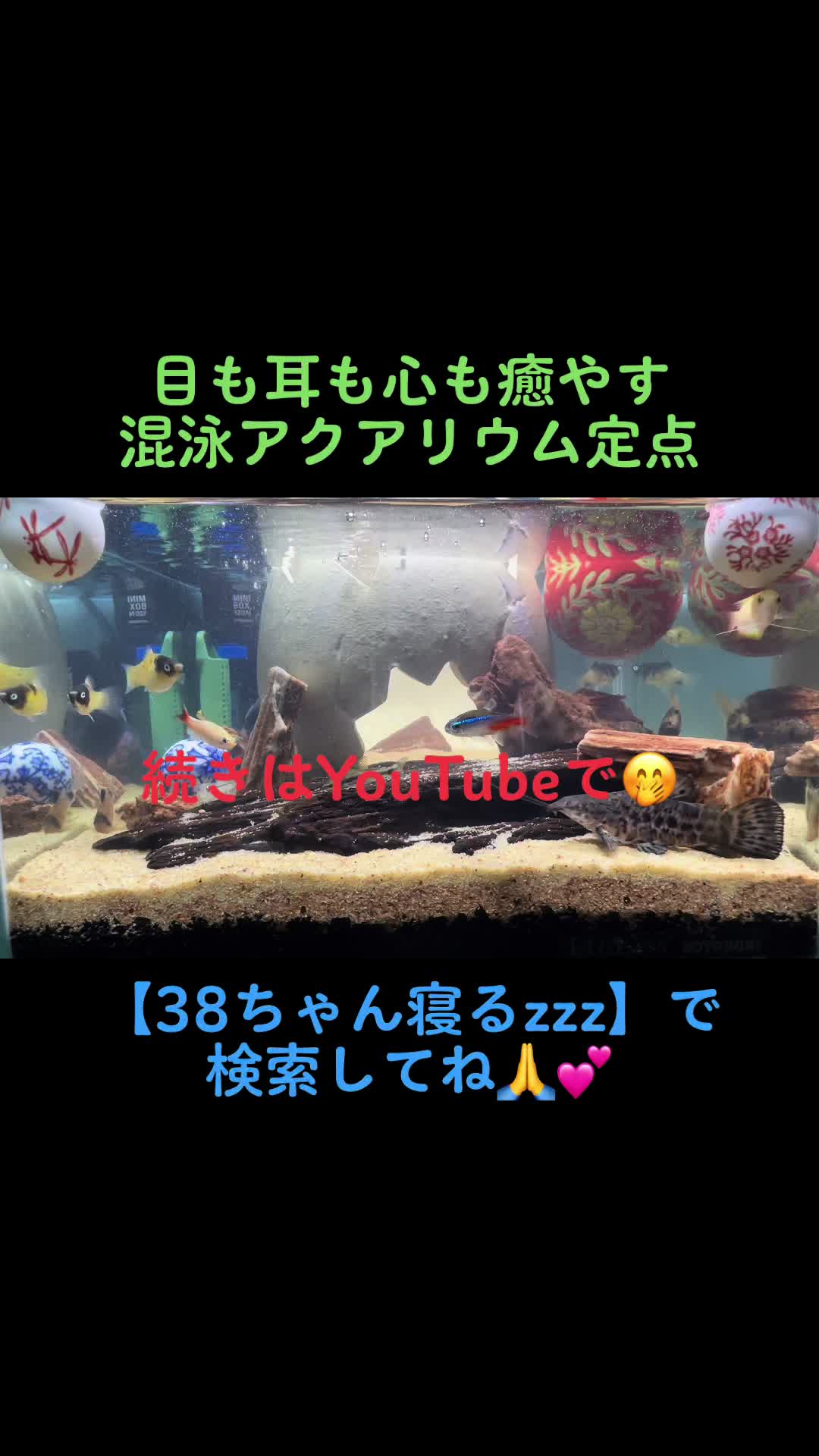 @38ç«ððã¿ããã