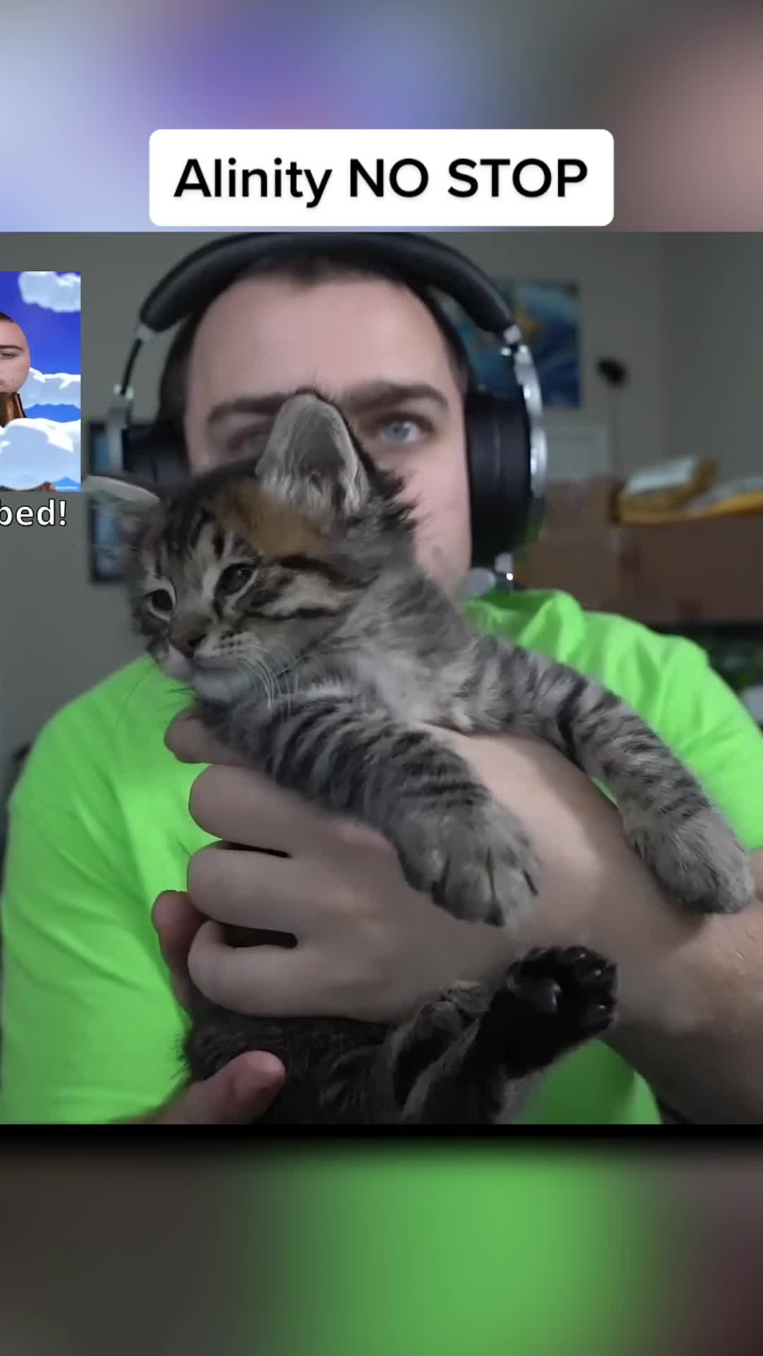 @Clipdit