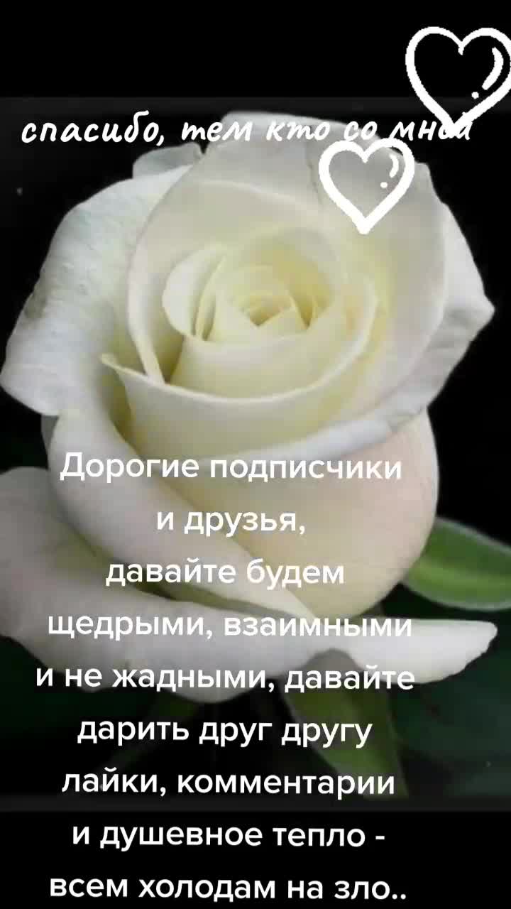@Иришка Я 🇰🇿+🇧🇾=♥️