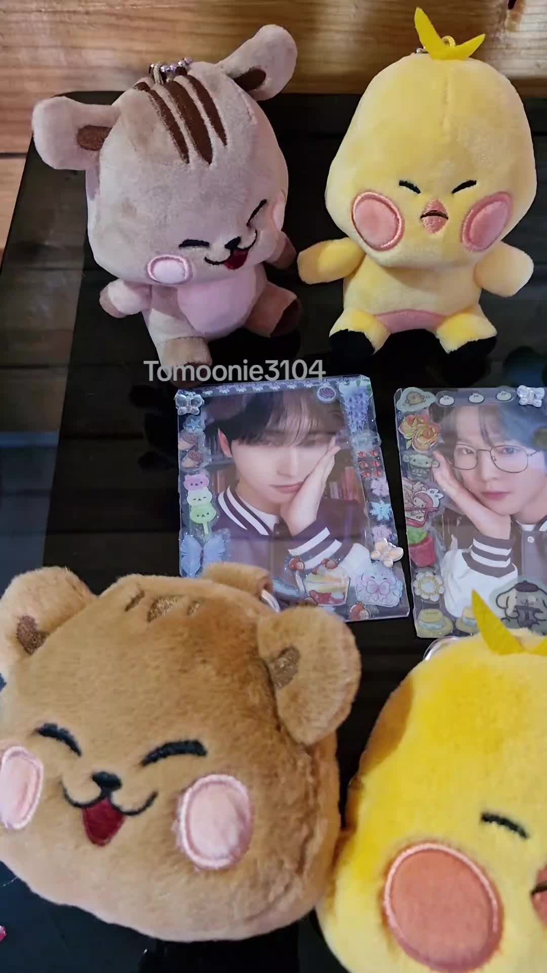@Tomoonie3104