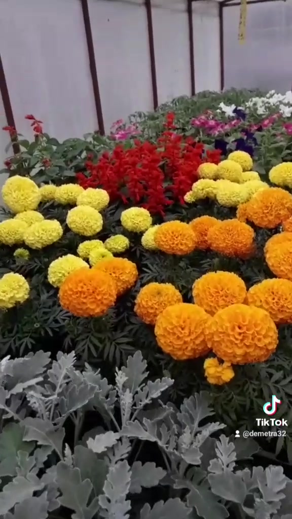@Светлана Шахбалаева