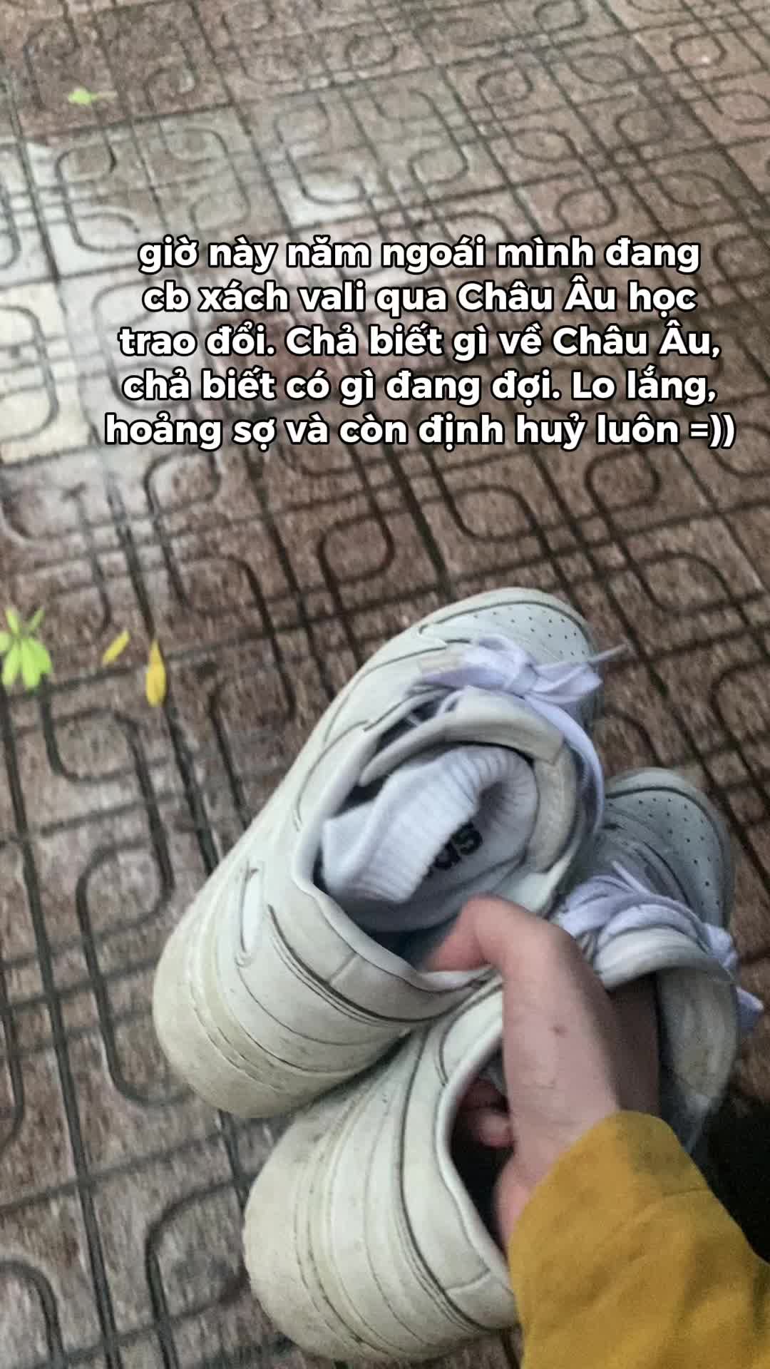 @Wapu Nà🥲