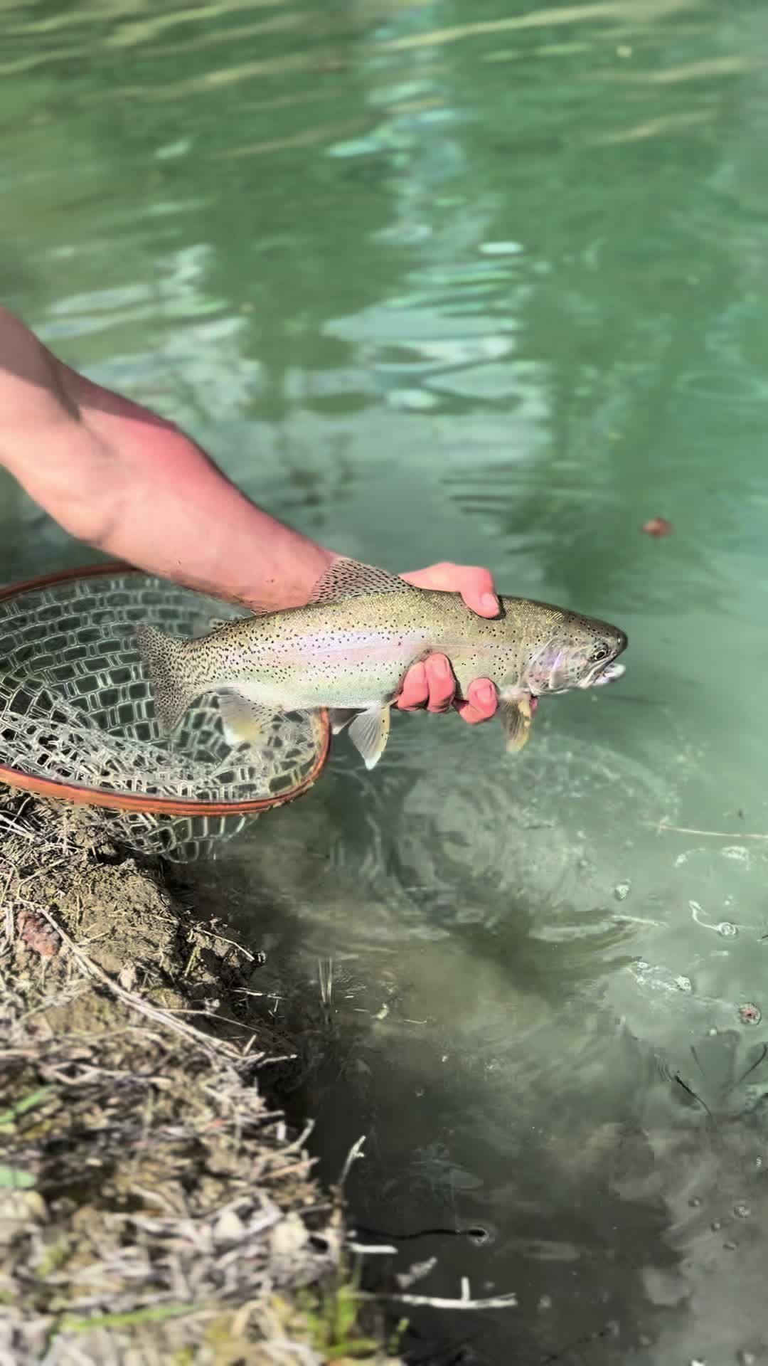 @Kootenaylife02