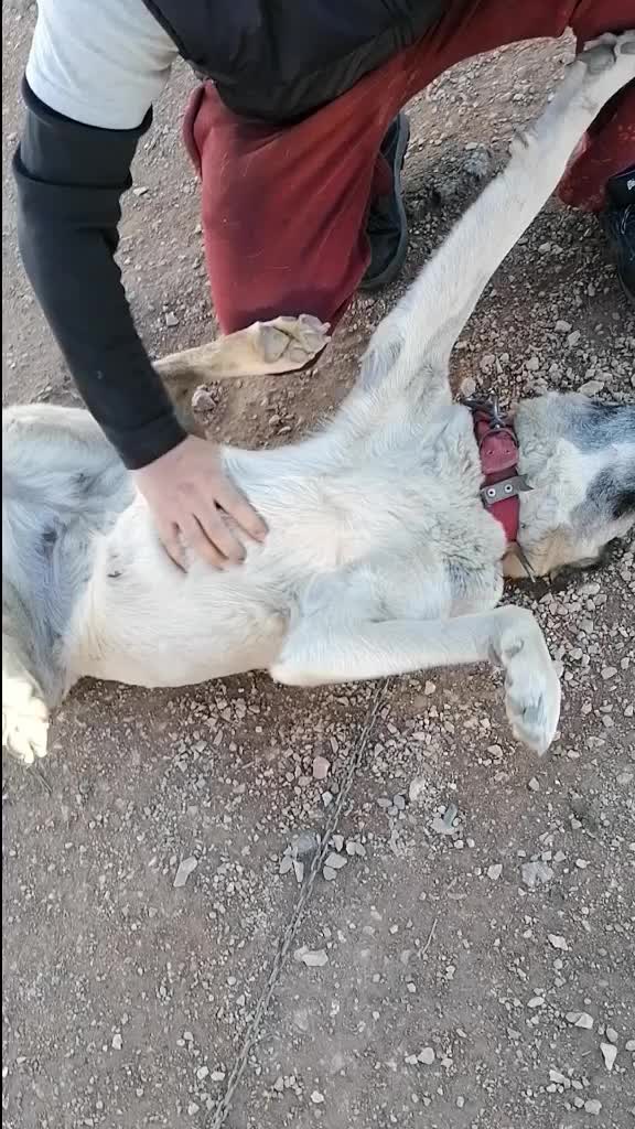@FurkanK&ouml;se28