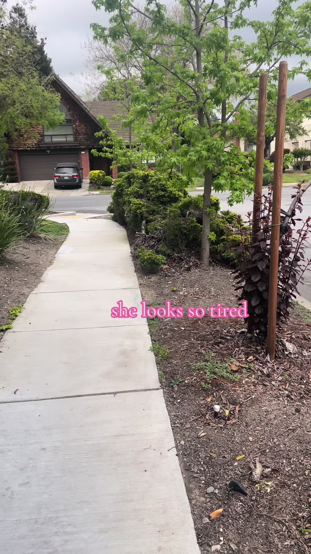 @zainub