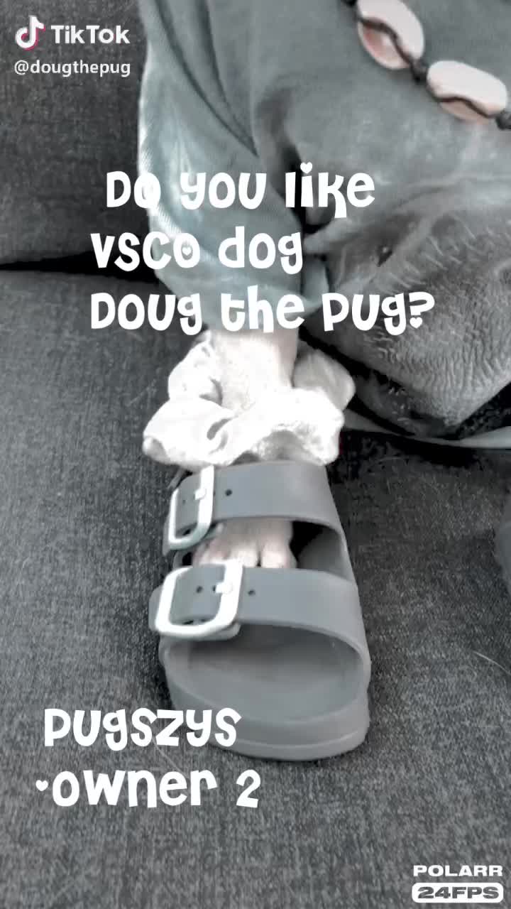 @Pugszys