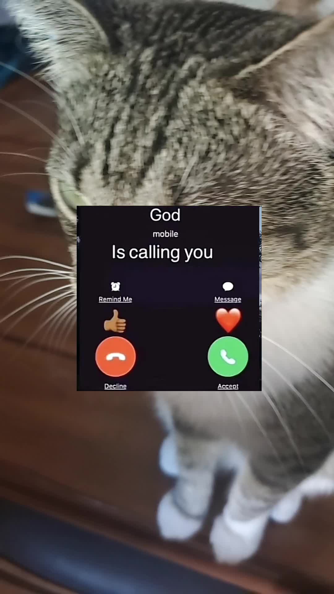 @jesusisking1579