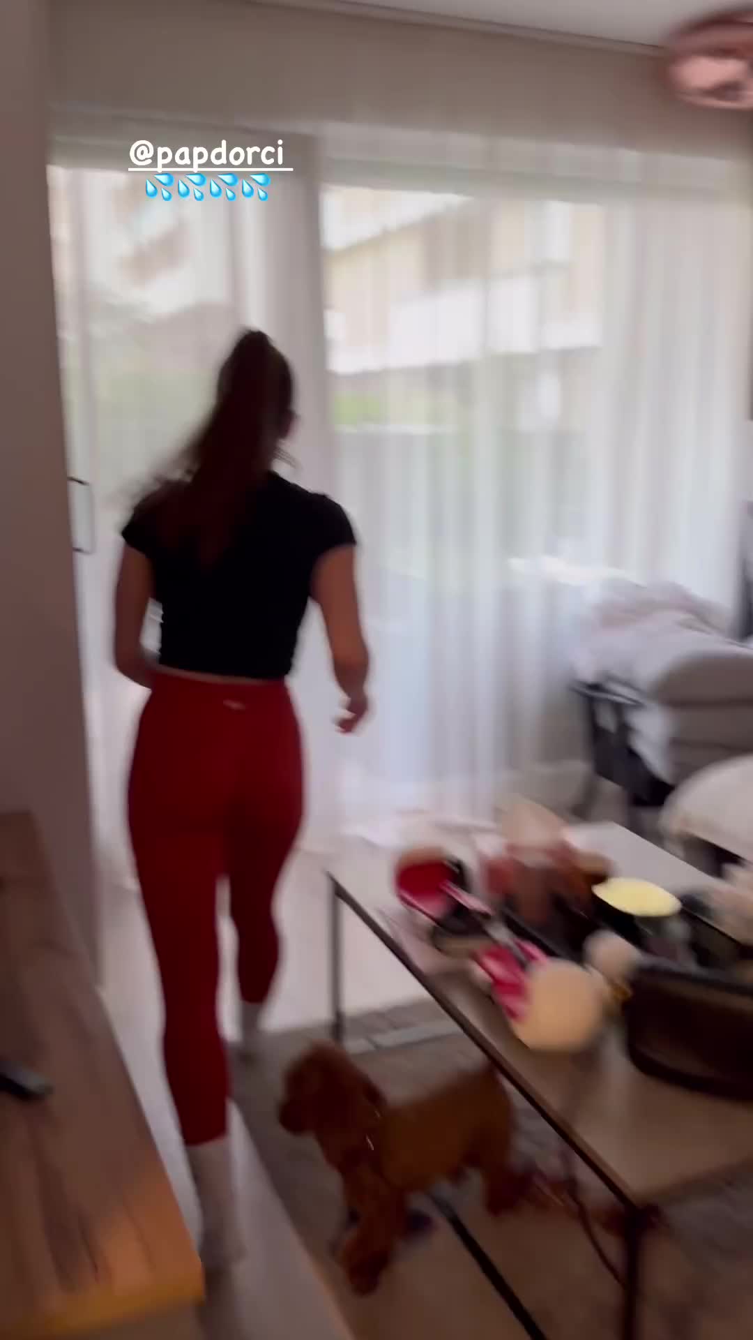 @papdorci