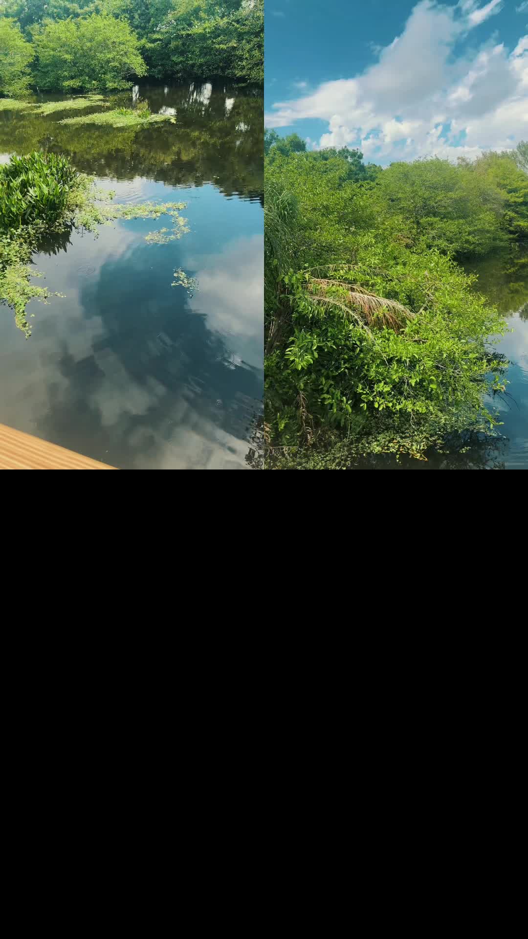 @teoteo_2025