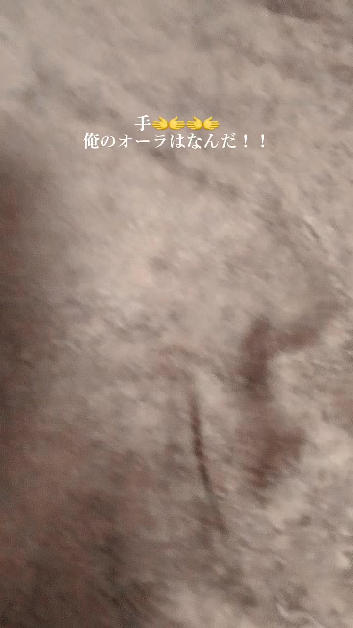 @みじんこちゃん