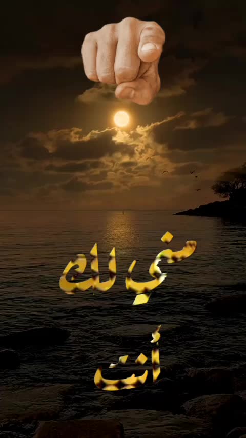 @المغربي