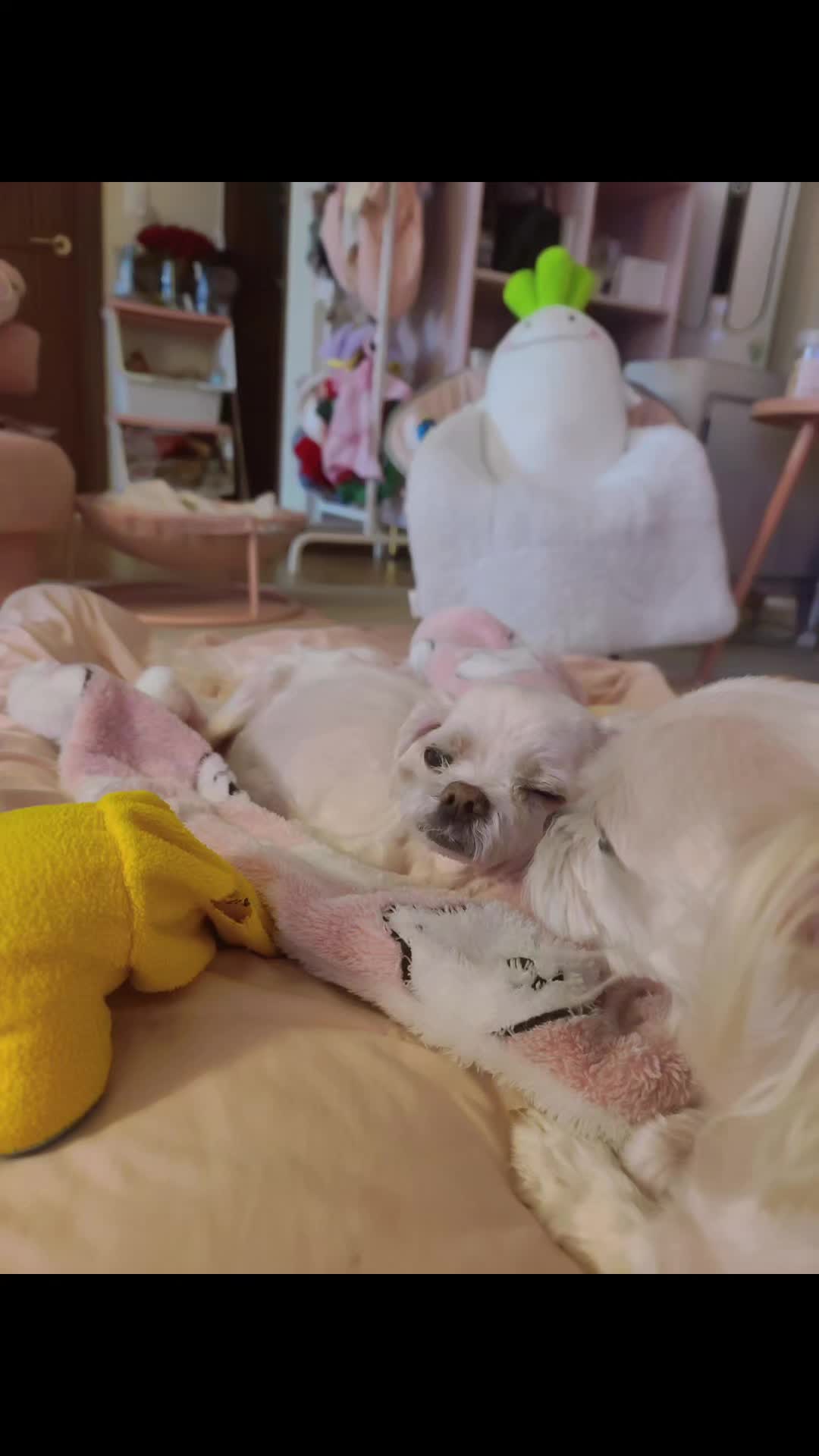 @아콩맘♡