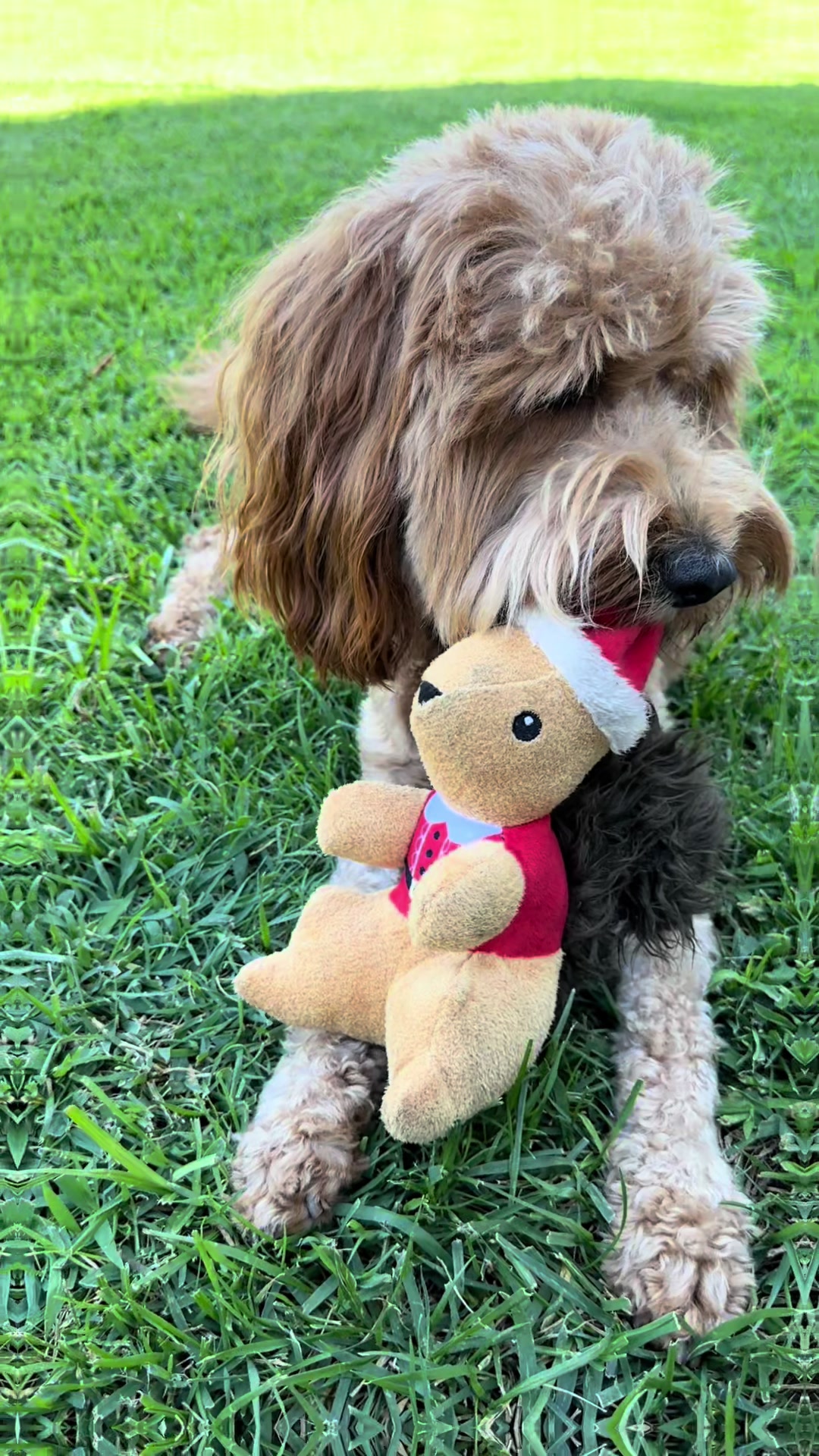 @TuckerTheTurlockDoodle