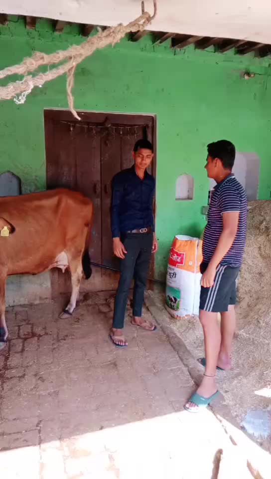 @Bittu Gujjar Jms