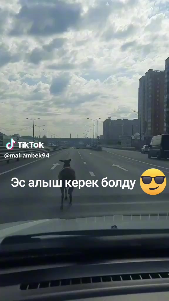 @Kahar__
