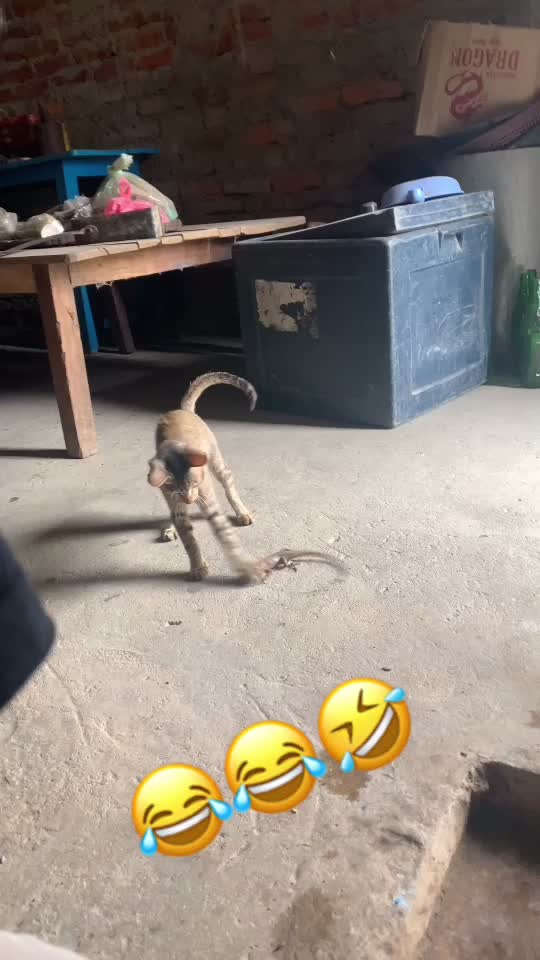 @Kanxu