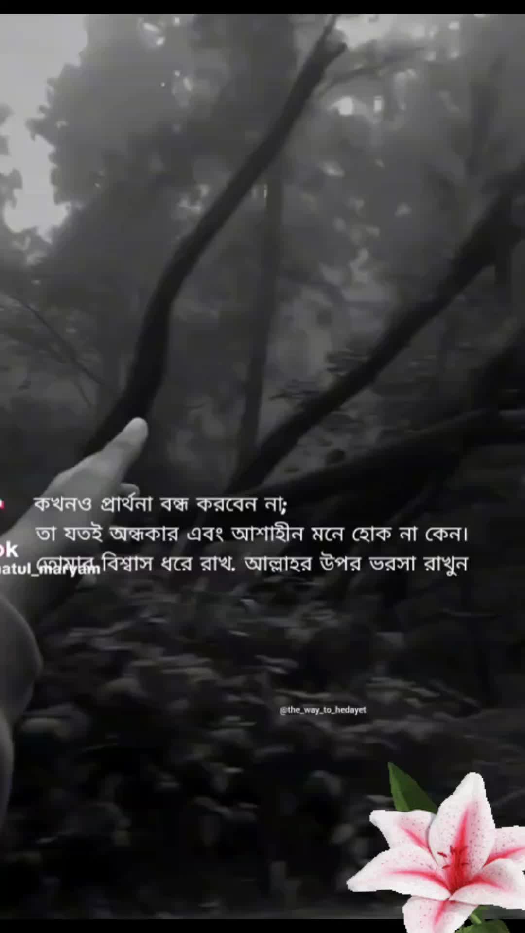 @Raisulislamrony