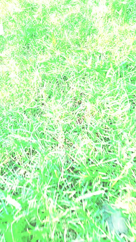 @##চাষির ছেলে 🙏—786