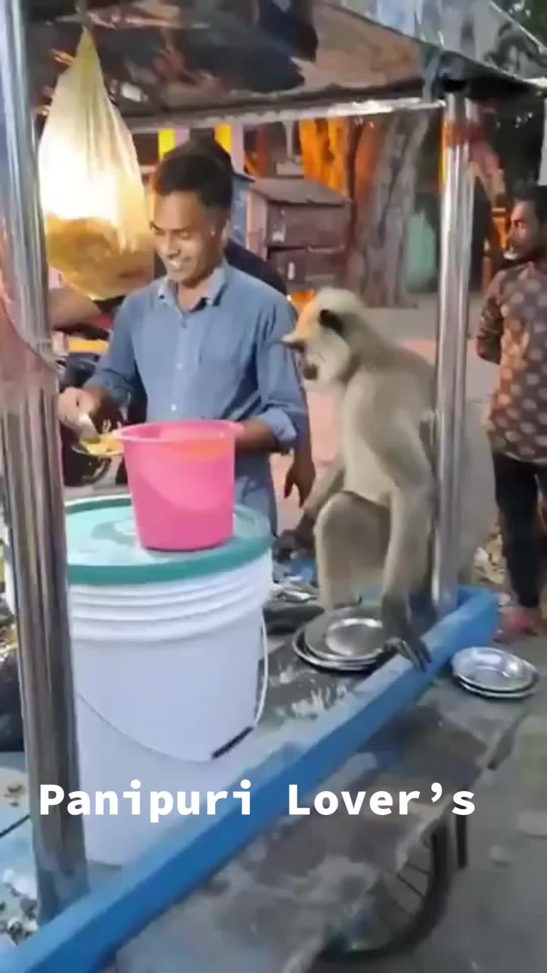 @Dhanji Charaniya