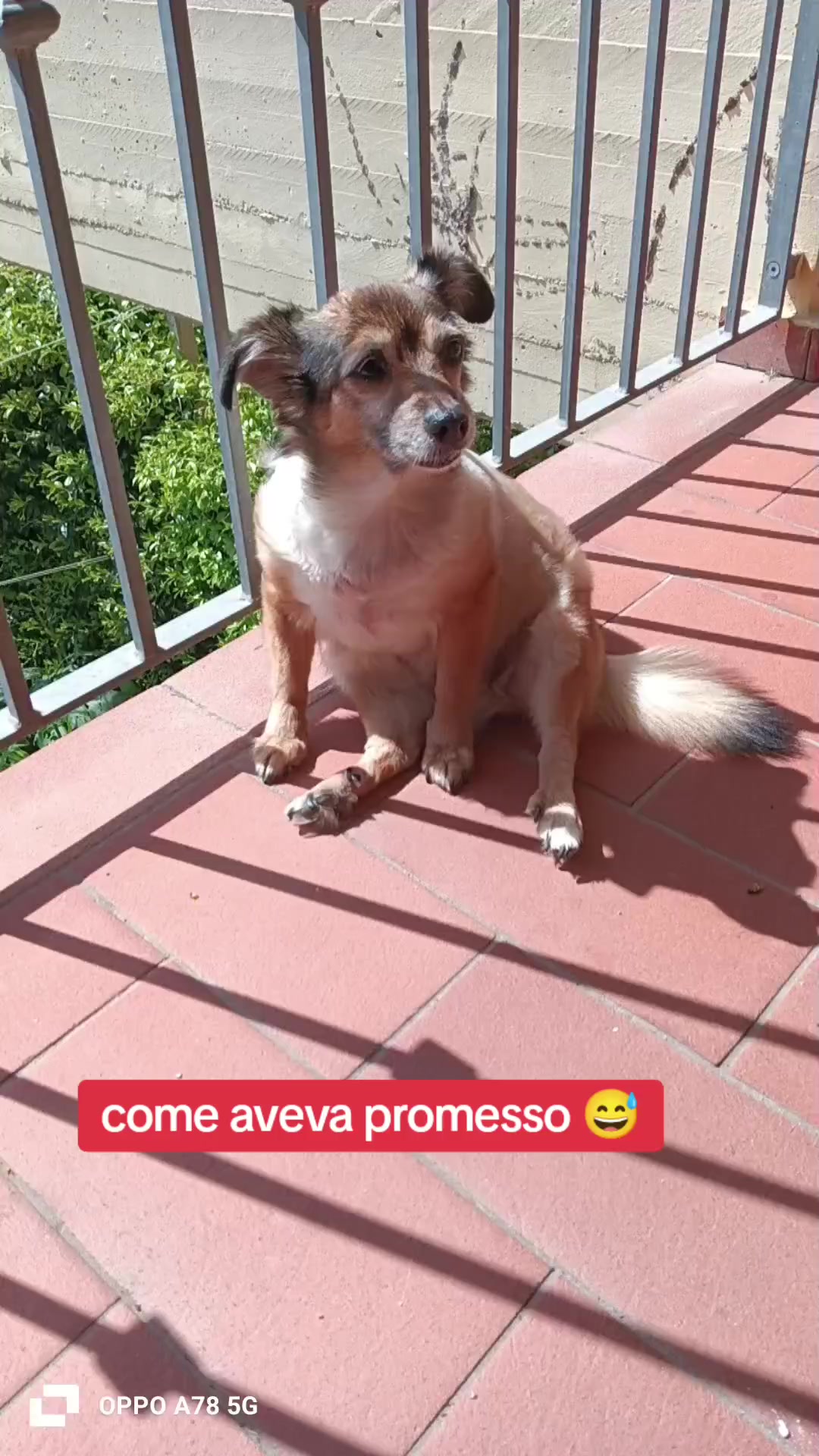 @briciola221dina24
