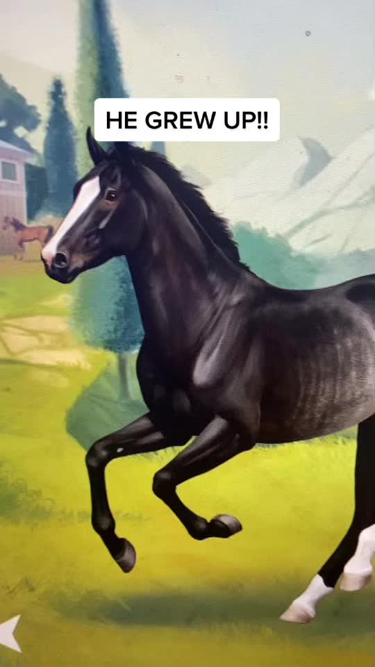 @Horse reality🤍