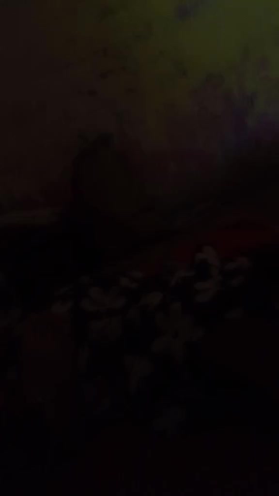 @simmiii121