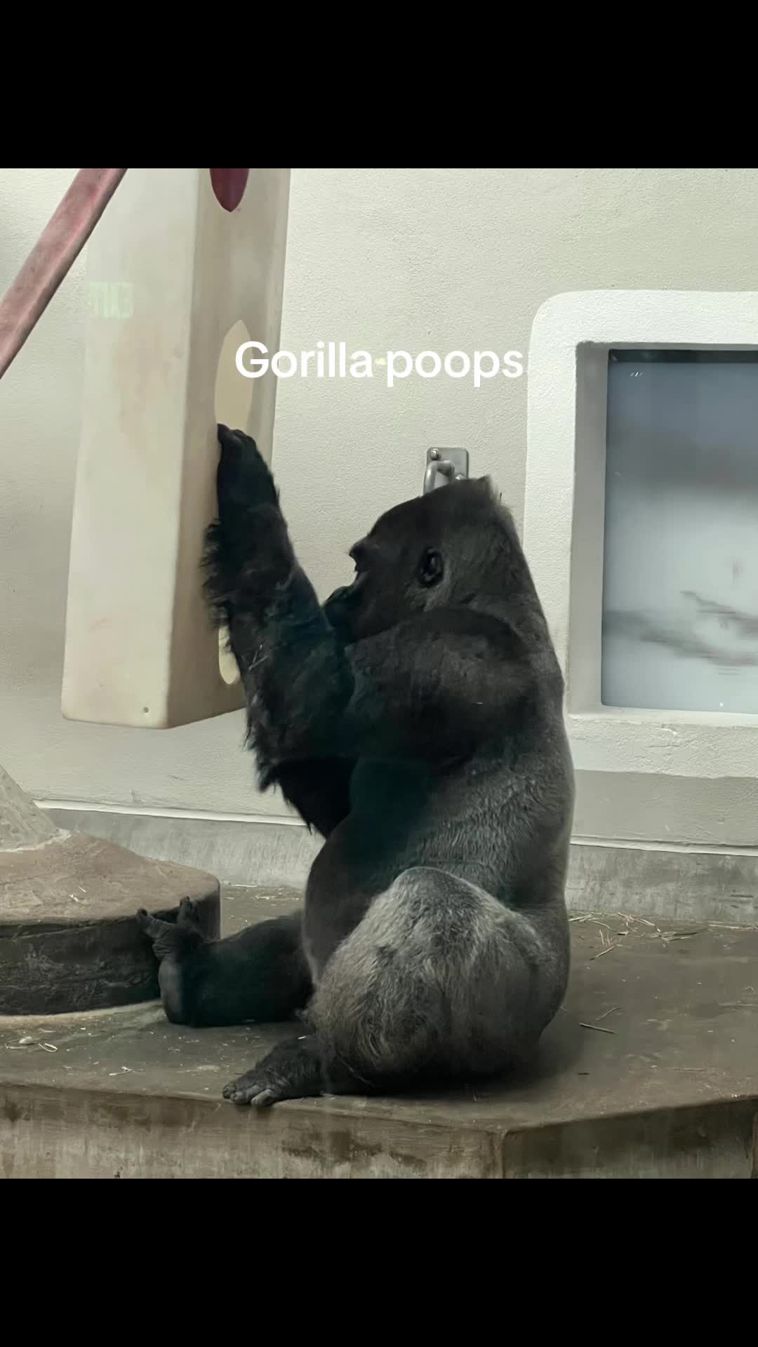 @Cecilia Franks Tompk