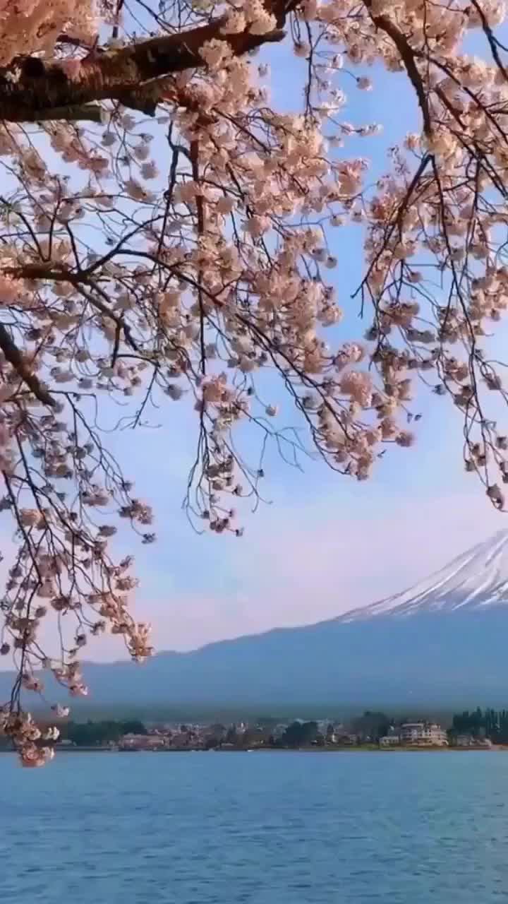@cbdjskhbp0n