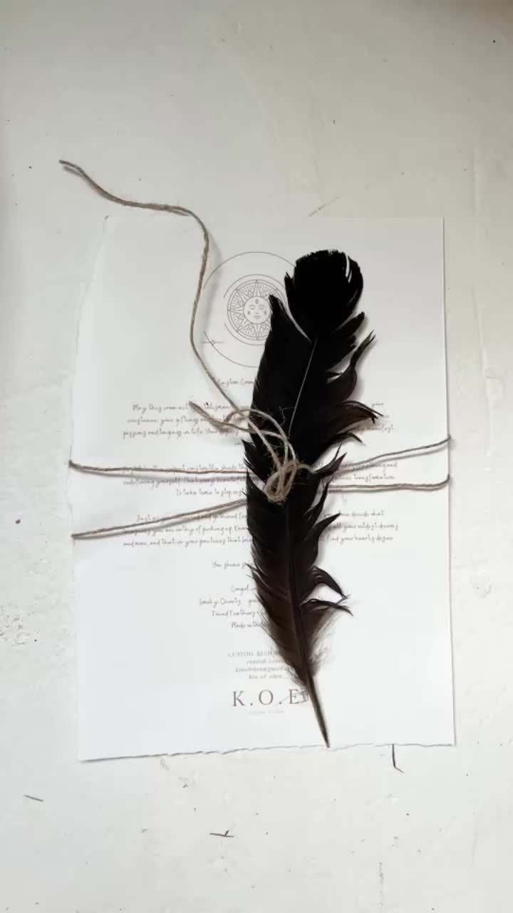@kin_of_eden
