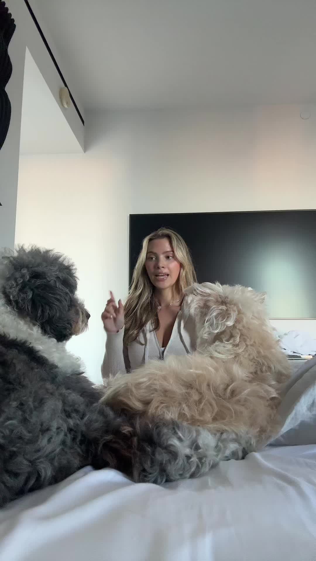 @vendeladente
