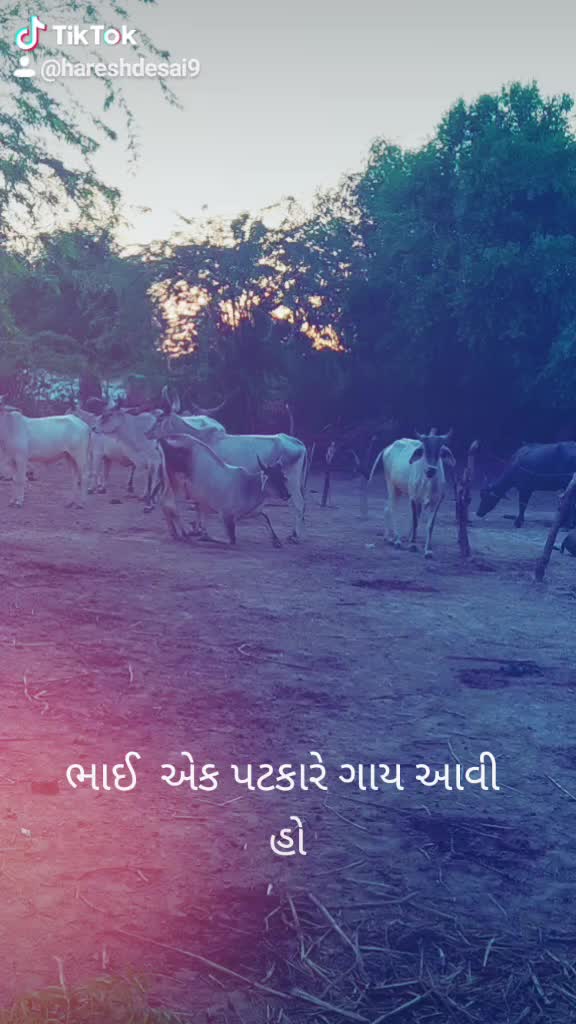 @😎H.k Rabari😎