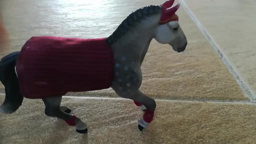 @Cc mes poneys