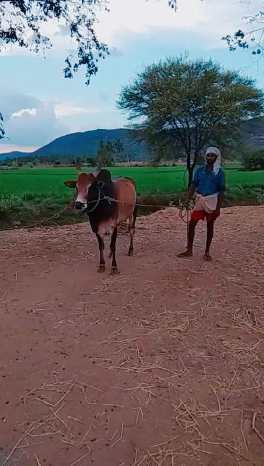 @ரஞ்சித்அய்யனார்குளம்