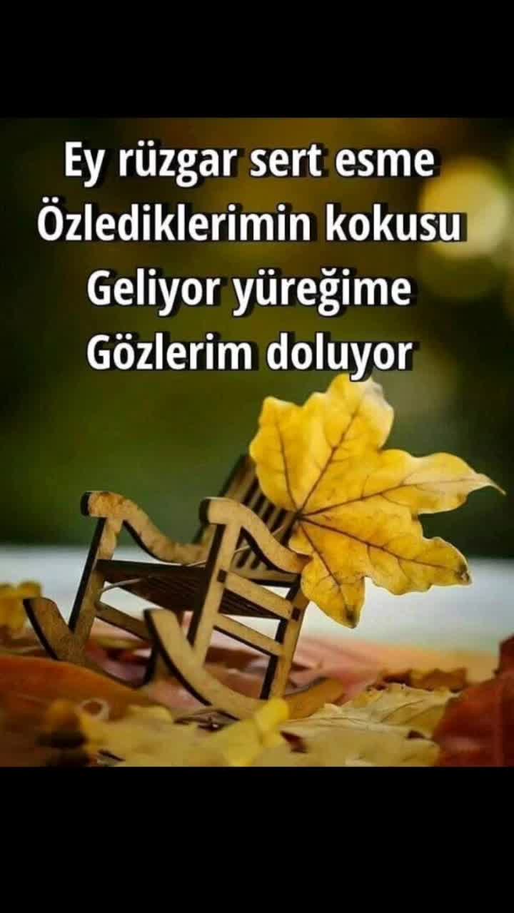 @Mujdat Kan