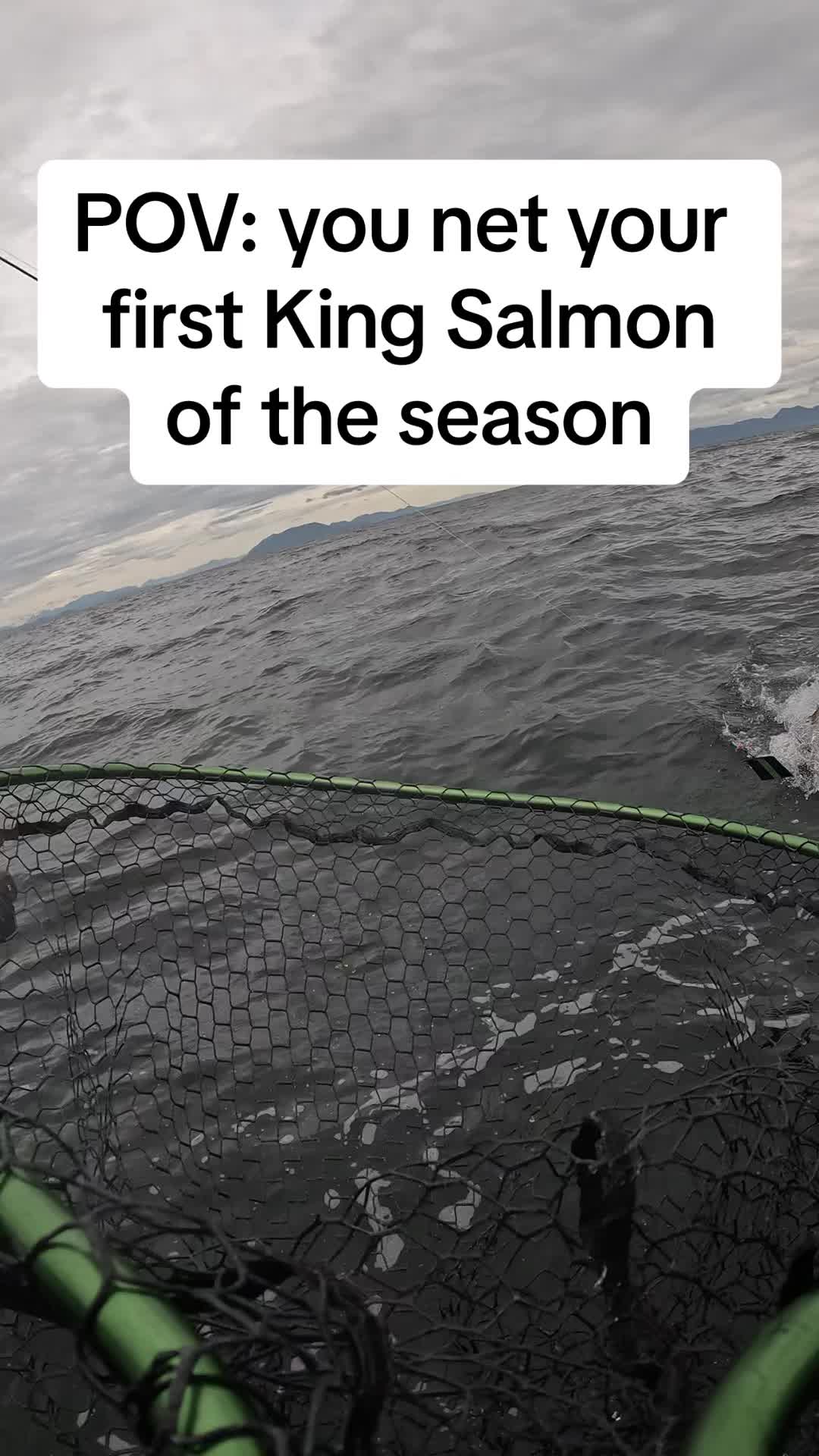 @Svenson Sportfishing