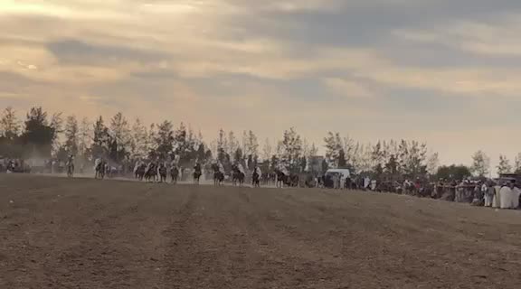 @0792429900