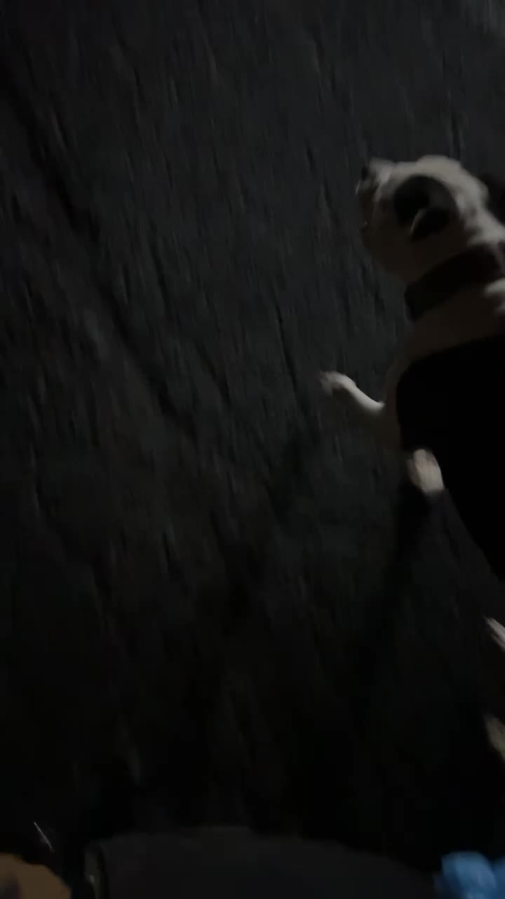 @SamsonsRed