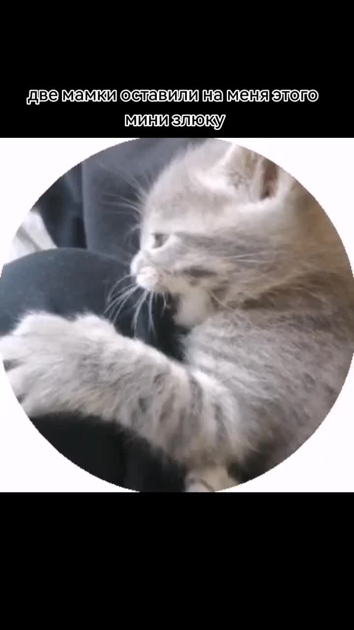 @рыжая