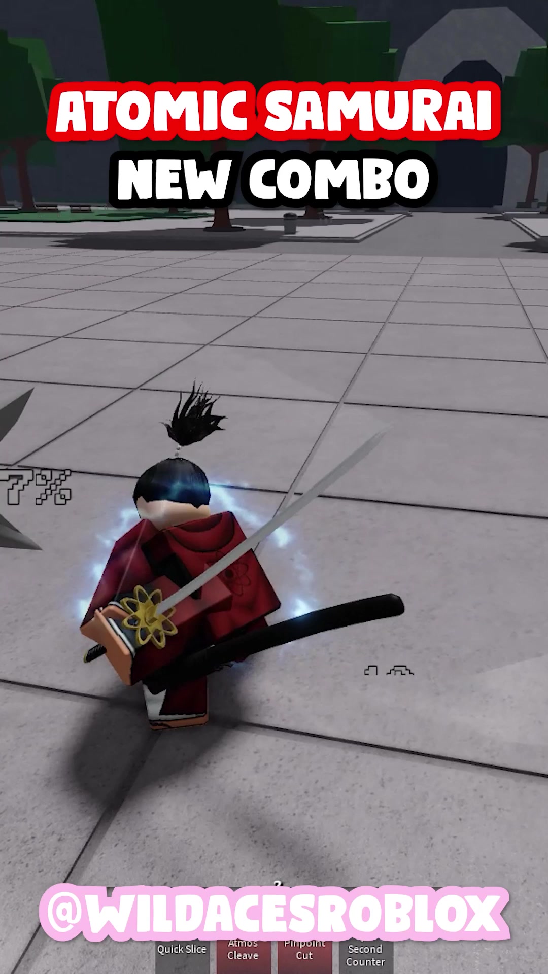 @Wildaces Roblox