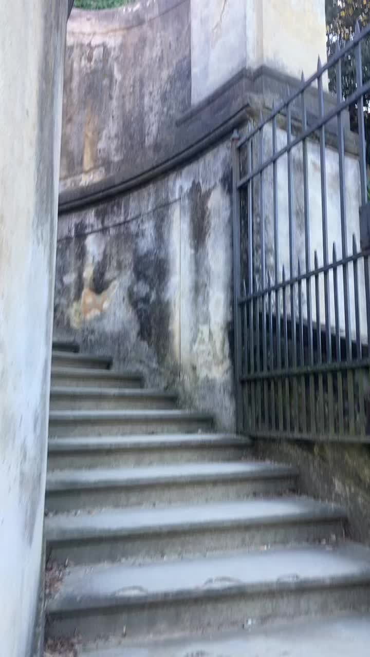 @MattiaCecchi04 🔱✨