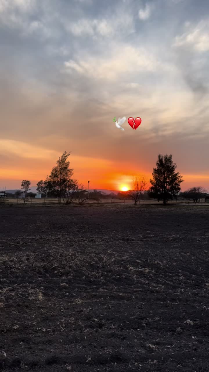 @Ana Joaquina Amezcua