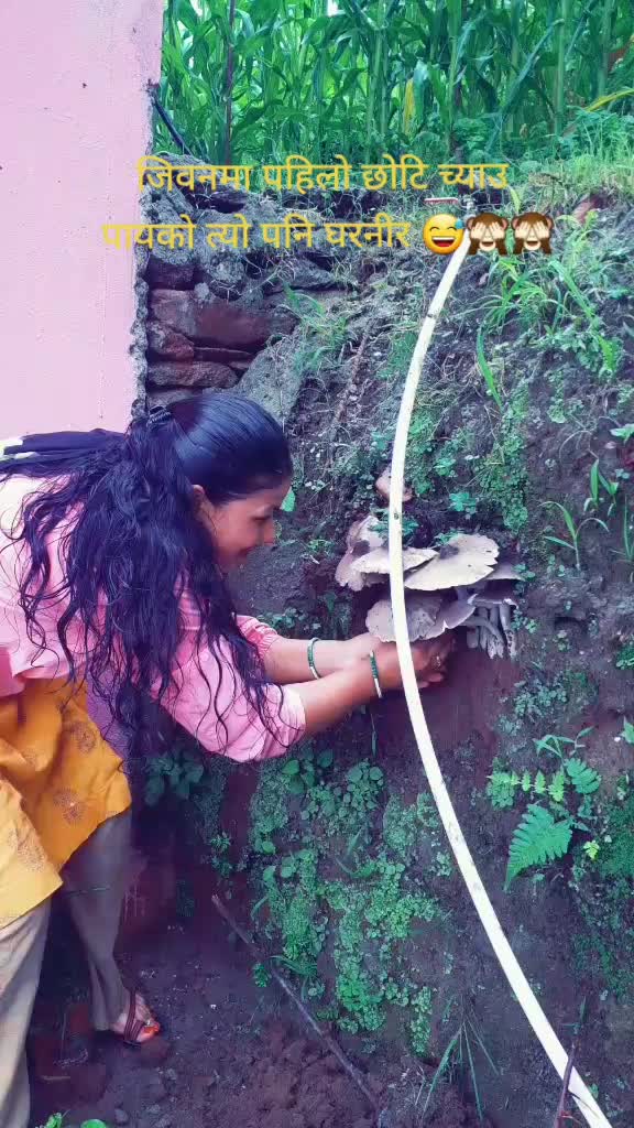 @Dambari Karki