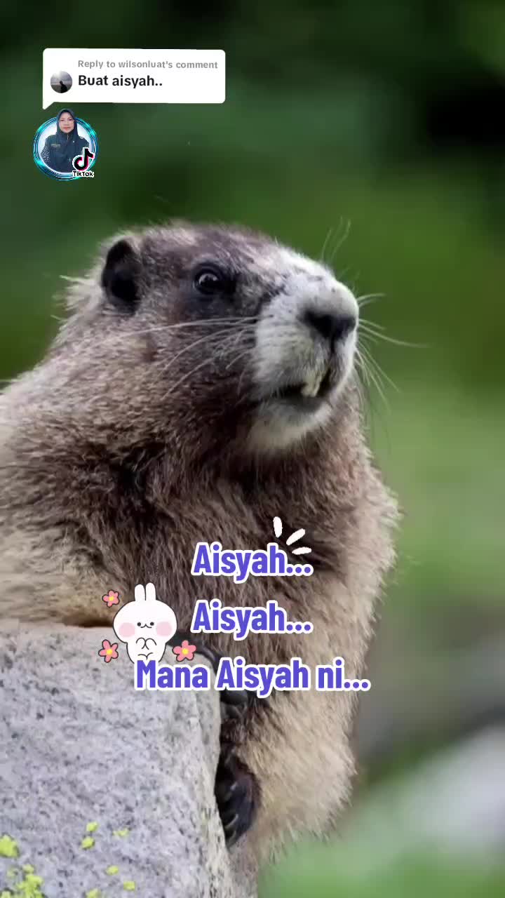 @🌷SITI🌷