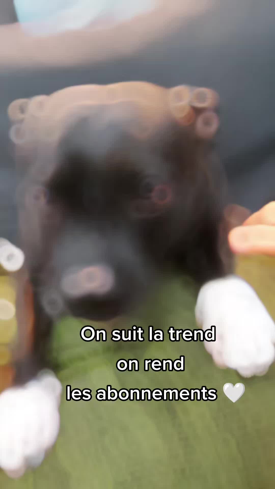 @Laurainked