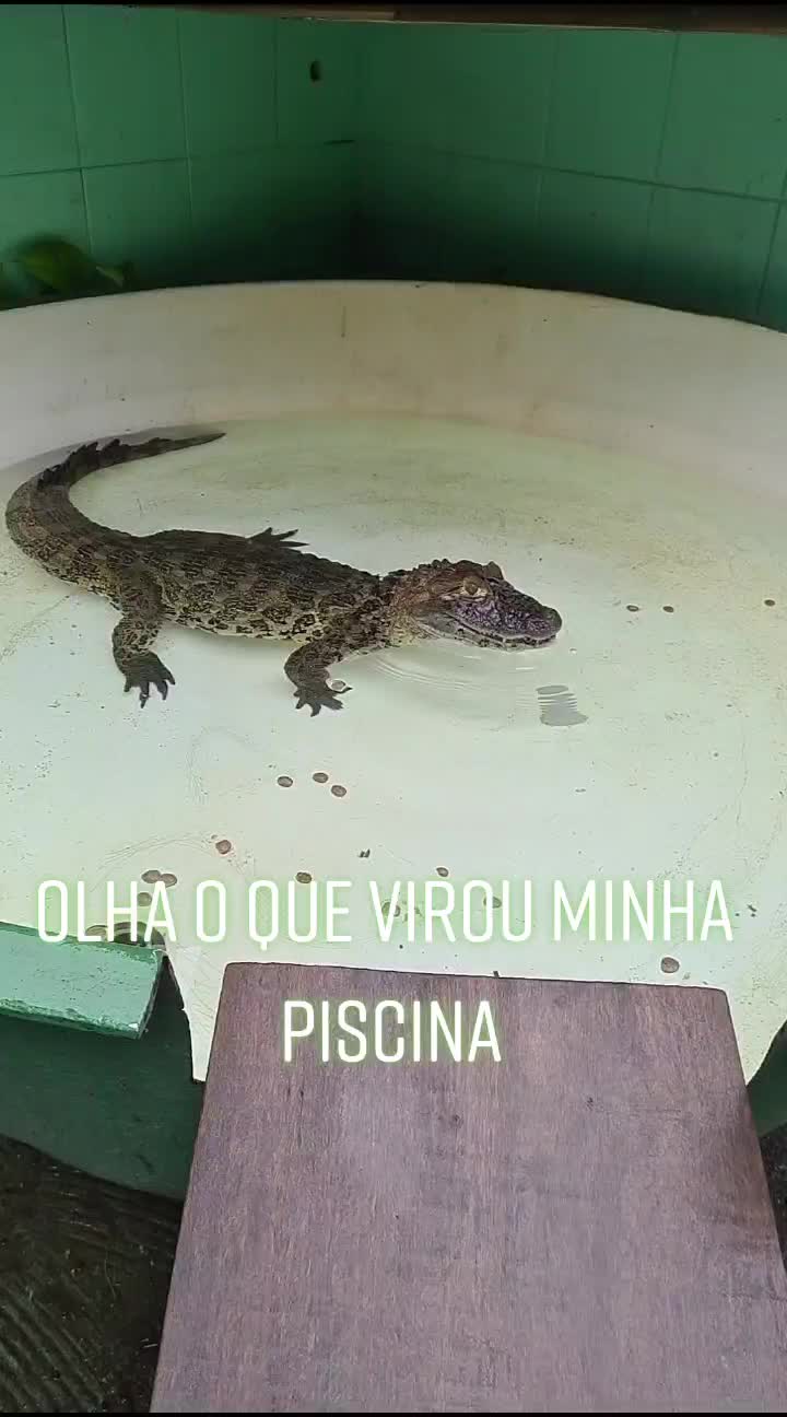@Eubiologodiego