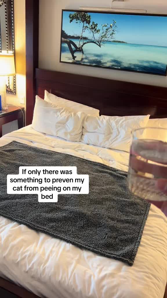 @&eacute;voque