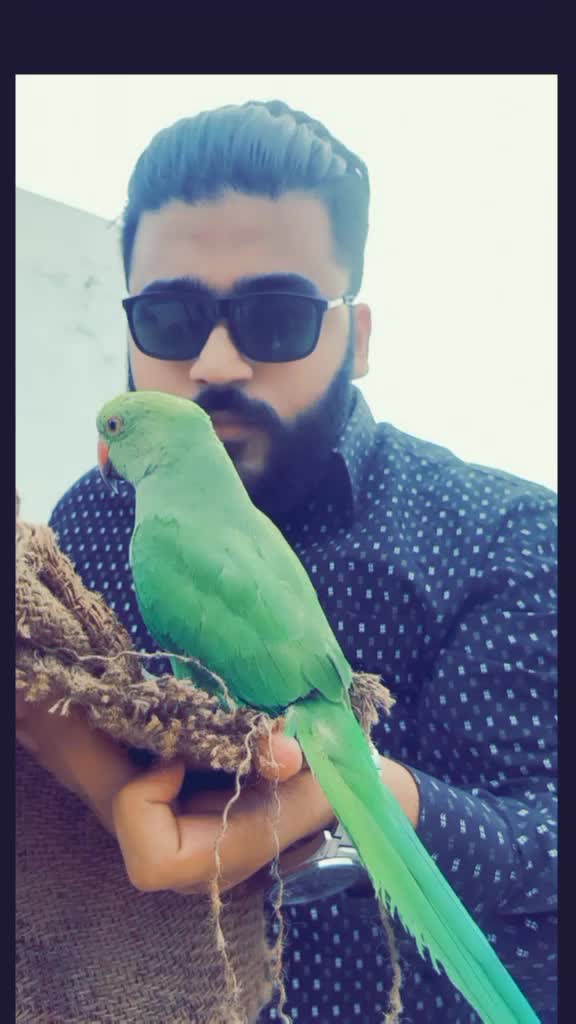 @Mohd Murtuza Ali